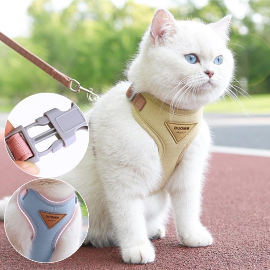  Harnais chat beige avec laisse – harnais chat anti-évasion réglable