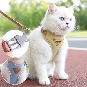  Harnais chat beige avec laisse – harnais chat anti-évasion réglable