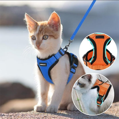 Harnais chat bleu anti-évasion avec variante orange - taille chaton