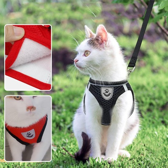 Harnais chat doublure douce velcro rouge – confort optimal