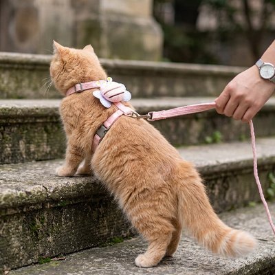 Harnais chat kawaii rose promenade sécurisée 