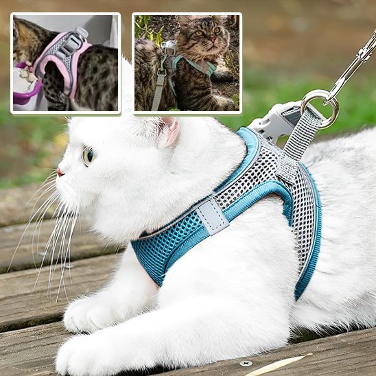 Harnais chat mesh respirant multicolore