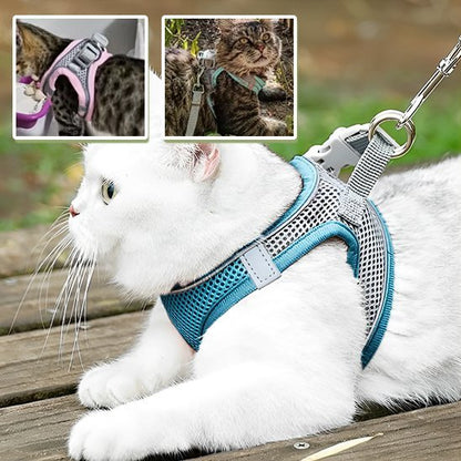 Harnais chat mesh respirant multicolore