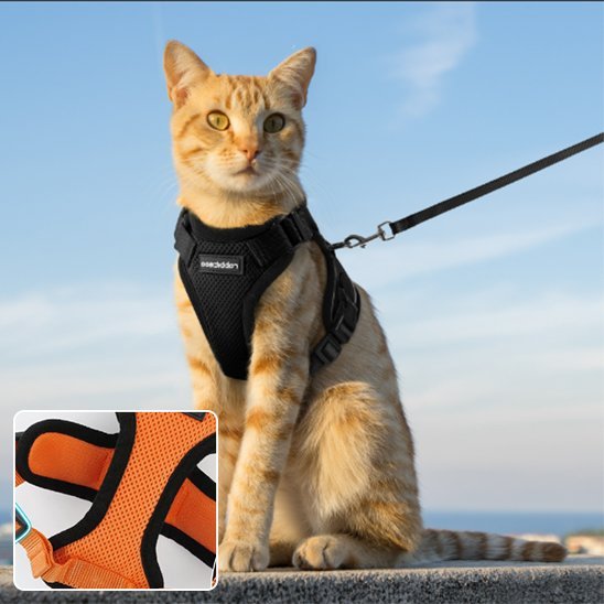 Harnais chat noir en maille - confortable et léger