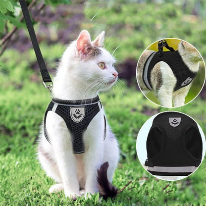 Harnais chat noir mesh respirant avec laisse – vue de face