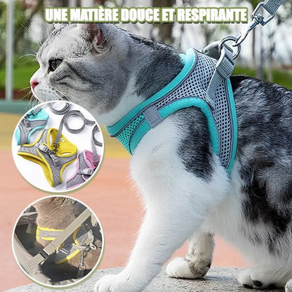 Harnais chat respirant disponible en plusieurs couleurs