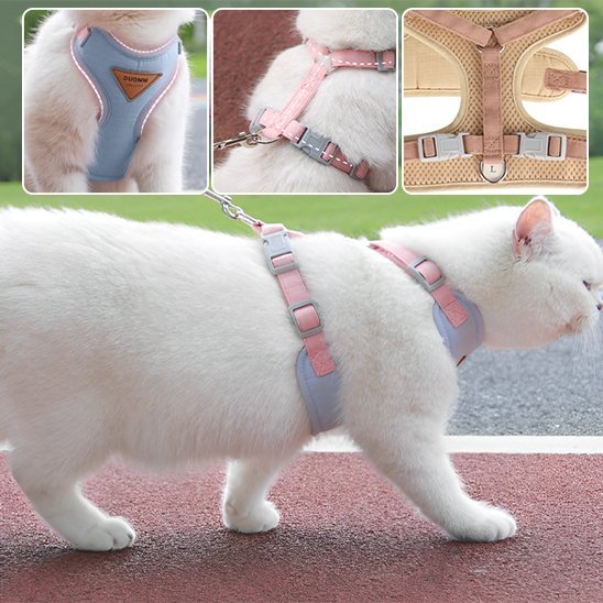 Harnais chat rose et gris avec laisse – harnais chat sécurisé balade