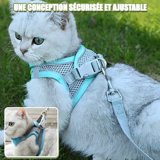 Harnais chat sécurisé et ajustable bleu turquoise