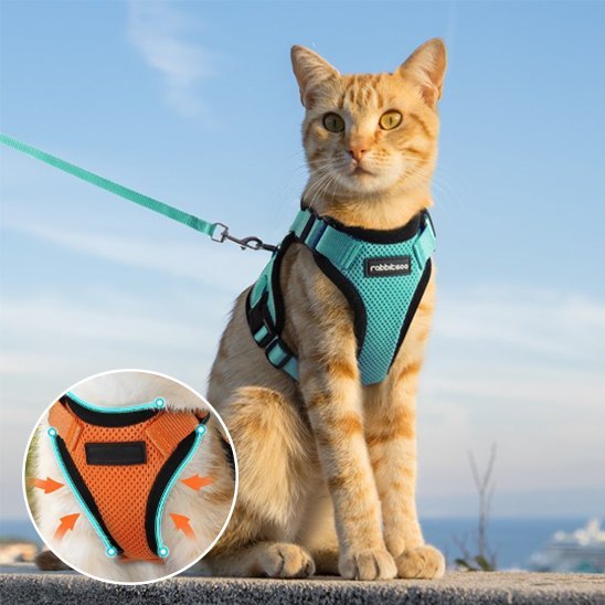 Harnais chat turquoise respirant - conception extensible