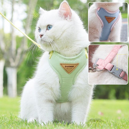 Harnais chat vert menthe avec laisse – harnais chat balade extérieur