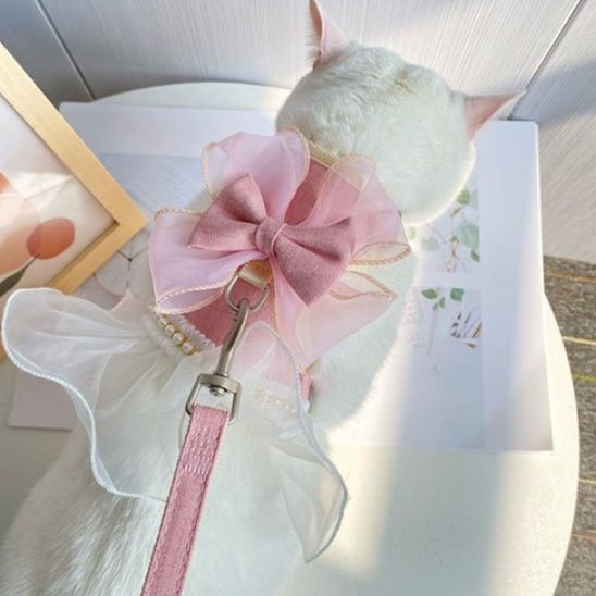 Harnais chat ajustable.