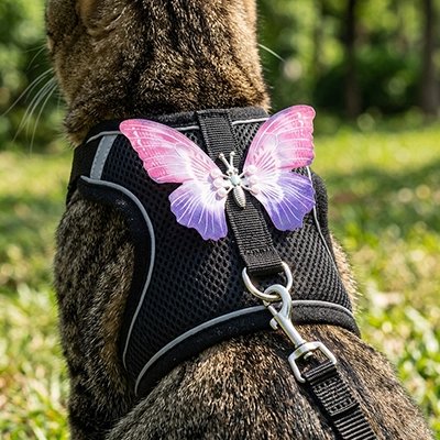 Harnais chat papillon noir avec ailes roses et violettes porté par un chat tigré