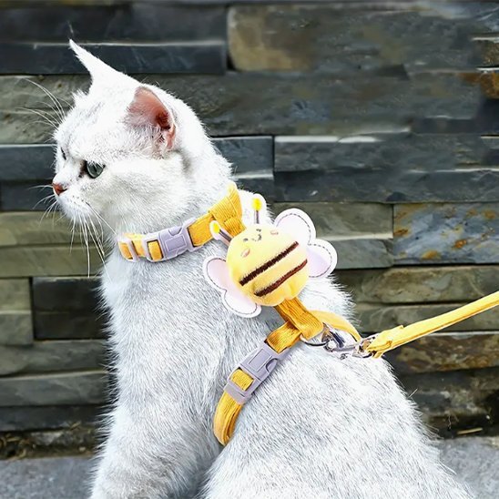 Harnais pour chat jaune avec laisse – harnais chat anti-évasion balade