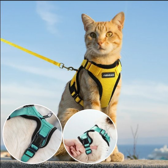 Harnais pour chat jaune avec laisse - sécurisé et ajustable