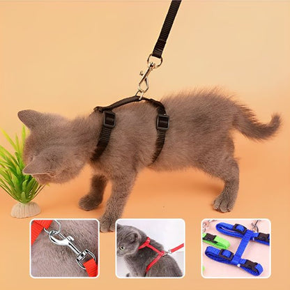 "Chat gris en mouvement avec harnais noir Minou loft et laisse, démonstration des options de couleurs disponibles (rouge, bleu) et du système d'attache"
