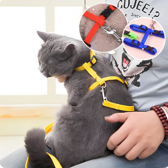 "Chat gris portant un harnais jaune Minou loft de type gilet, avec propriétaire montrant le système d'ajustement et les boucles de sécurité"