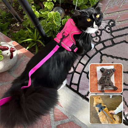  "Harnais rose réfléchissant pour chat - système de sécurité avec boucles ajustables"