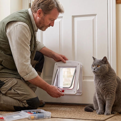 Homme installant une chatière pour chat blanche sur une porte, chat British Shorthair gris à proximité