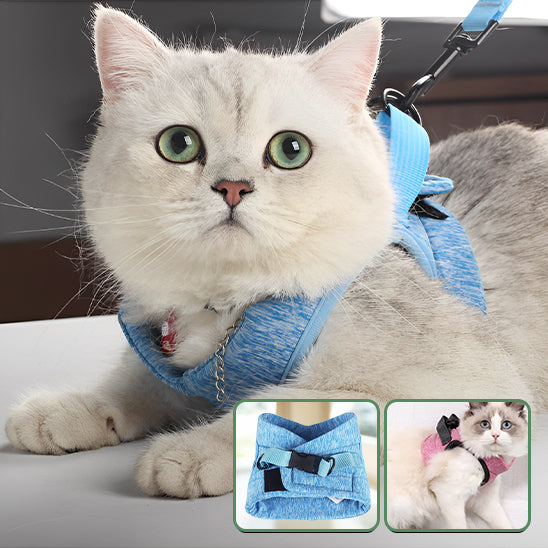Harnais chat-Minou loft