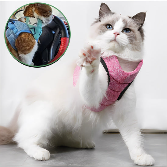 Harnais chat-Minou loft