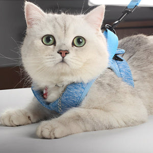 Harnais chat-Minou-loft Confortable et sans contrainte.