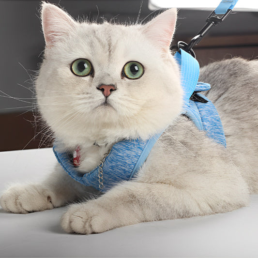 Harnais chat-Minou-loft Confortable et sans contrainte.
