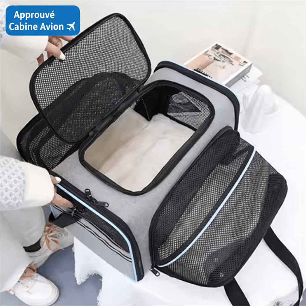 Sac transport chat approuvé cabine avion, badge bleu vif