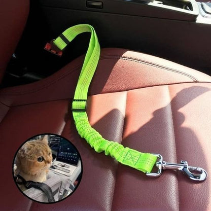 Laisse pour chat vert fluo avec mousqueton métallique et système de sécurité voiture