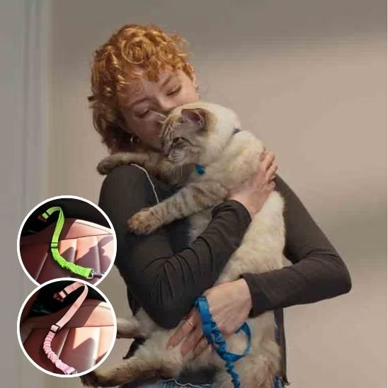 Personne tenant un chat avec laisse bleue - démonstration d'utilisation avec harnais pour chat
