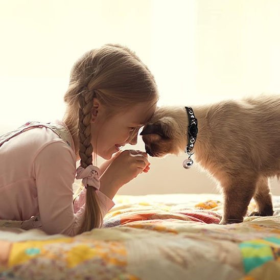 Petite fille et chaton portant un collier noir avec clochette