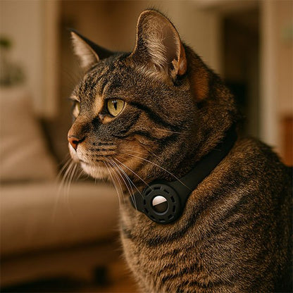 Collier GPS chat étanche avec système de suivi en temps réel