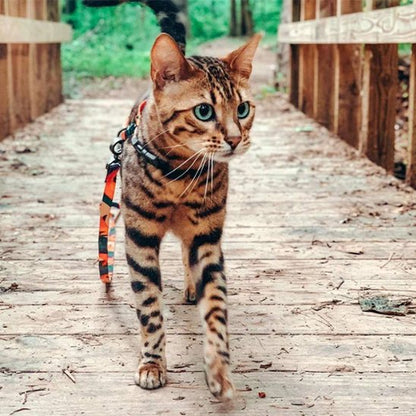 Détail des sangles ajustables et du rembourrage du harnais Sérénité. 