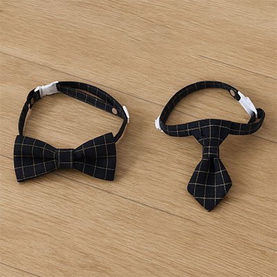 Collier pour chat élégant et sécurisé avec boucle ajustable