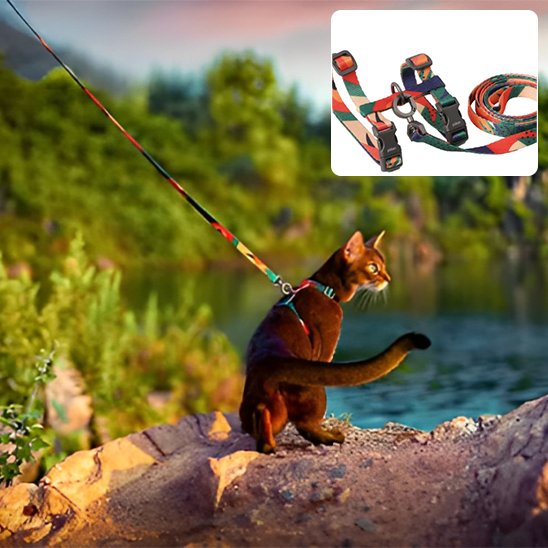 Chat portant le harnais Minou Loft Sérénité avec design confortable et sécurisé. 