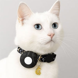 Collier GPS chat SafeTrack orange - Traceur de localisation compact et léger pour félin