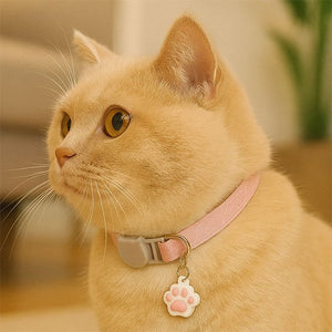 Chat élégant portant un collier de sécurité avec boucle réglable. 