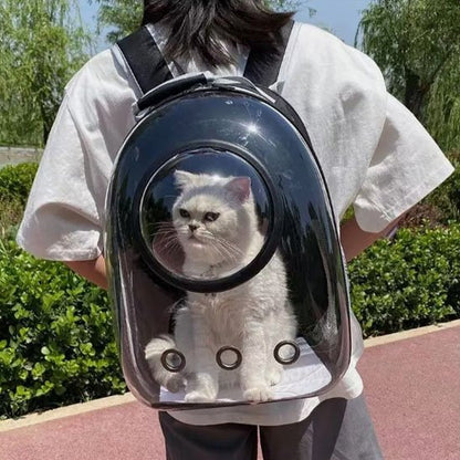  Chat blanc confortablement installé dans le sac de transport Minou loft