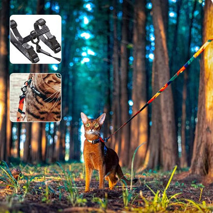 Vue détaillée du harnais pour chat Sérénité avec boucles ajustables et attachés. 