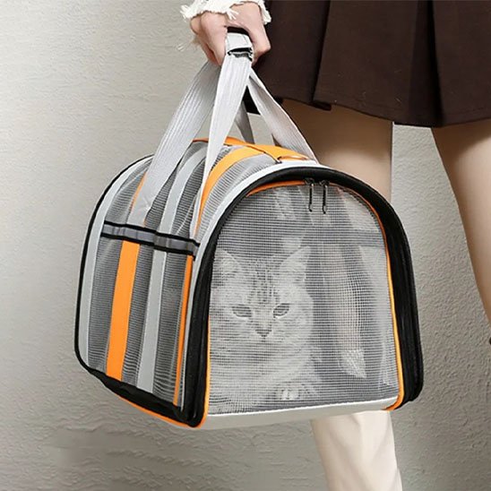 Sac de transport chat confortable avec chat à l'intérieur - Sécurité et bien-être