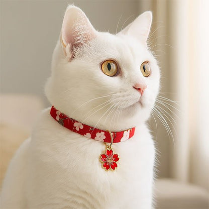 Chat portant collier Félin Élégance - Collier ajustable pour chat domestique avec clochette