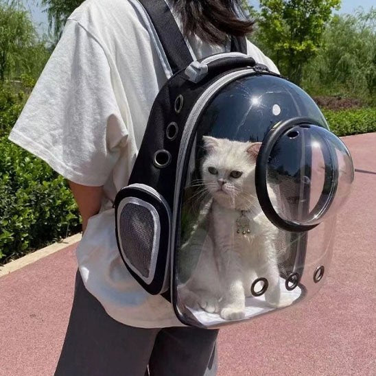 Vue détaillée du sac de transport chat avec ouvertures de ventilation.