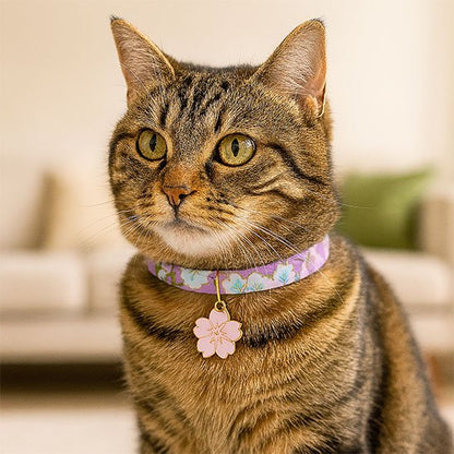 Détail collier chat Minou loft - Système de sécurité anti-étranglement pour félin. 