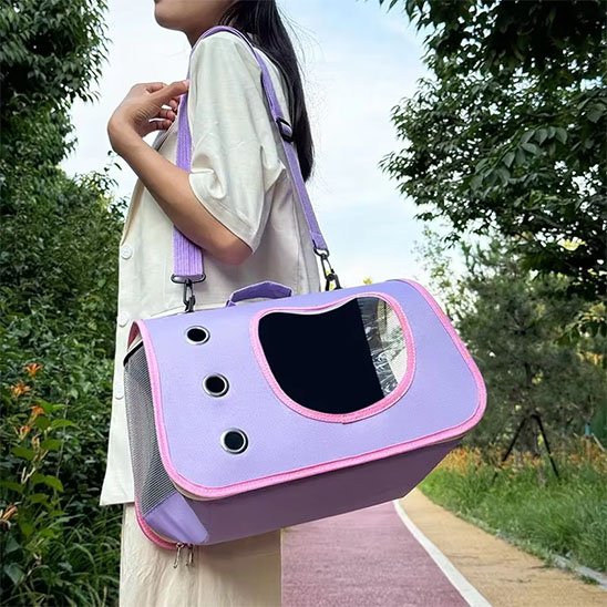  Sac de transport pour chat gris vide, vue à travers la fenêtre transparente