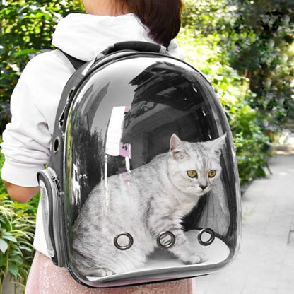  Sac de transport chat Minou loft porté en bandoulière pour voyage confortable