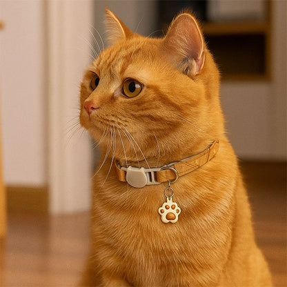 Vue rapprochée du collier pour chat avec détails de conception. 