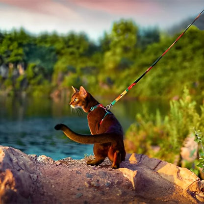 Démonstration du système de fermeture sécurisé du harnais pour chat Sérénité. 