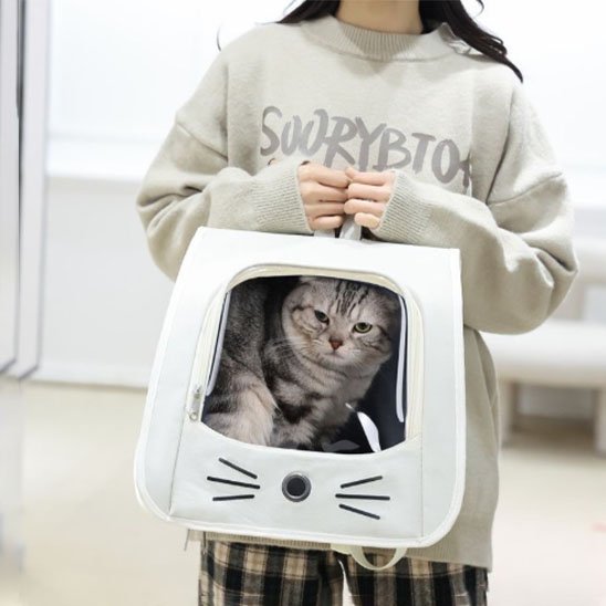 Transporteur sac à dos pour chat - Détail ventilation et confort" Image