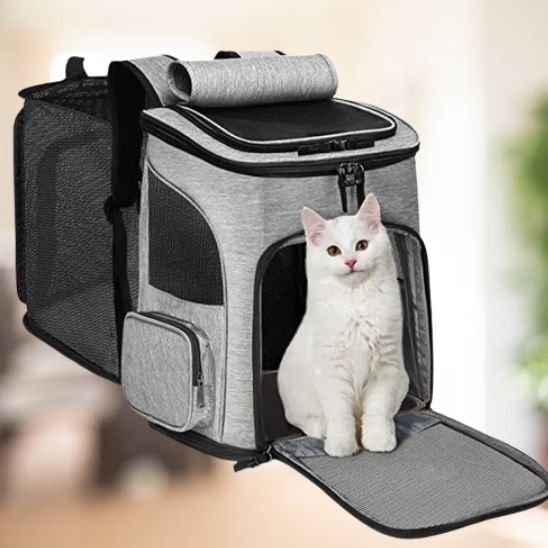 Sac à dos chat gris ouvert avec chat blanc