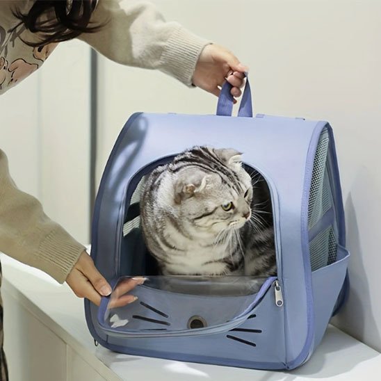 Intérieur spacieux sac à dos chat - Espace confortable pour félin