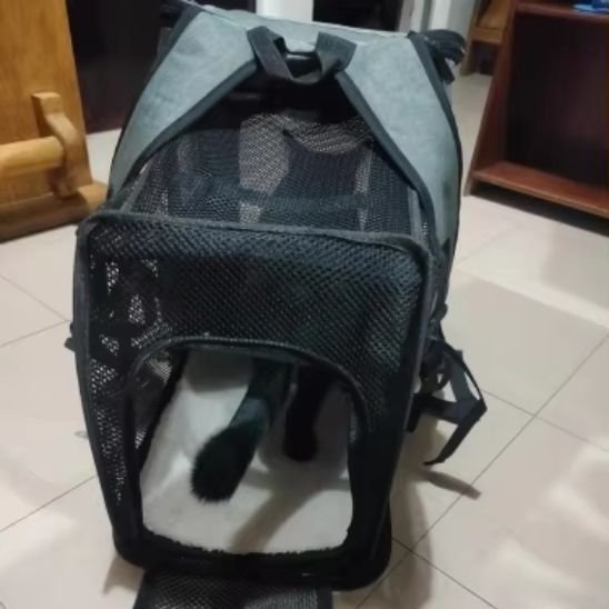 Sac à dos chat aération mesh